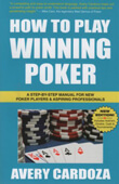 Mastering the art of successful poker